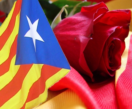 rosa-sant-Jordi-23-abril